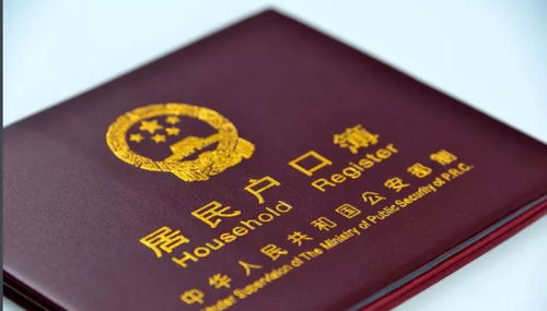 深入了解B2资格证，你的职业通行证