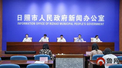 瓦房店市政府，城市发展的舵手，民生福祉的守护者