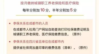 开启深圳新生活，积分入户申请全攻略