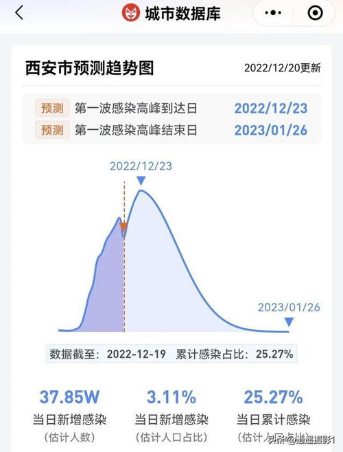 上海疫情速报，4日最新动态与防控措施