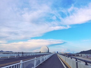 珠海人事局，珠海人才发展的桥梁