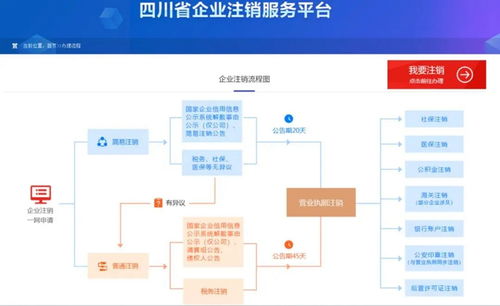 注销上海公司办理，流程、注意事项与实用指南