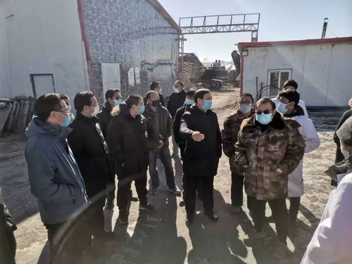 天津疫情动态，深入了解与应对策略