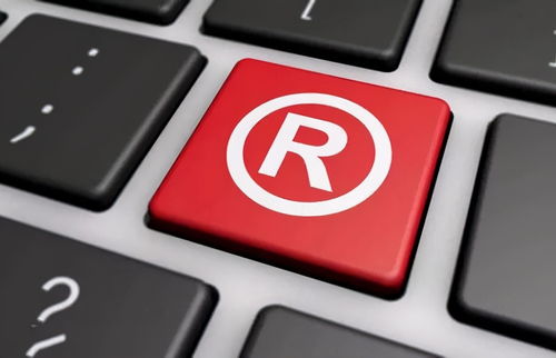 探索品牌身份的钥匙，如何轻松查询商标信息