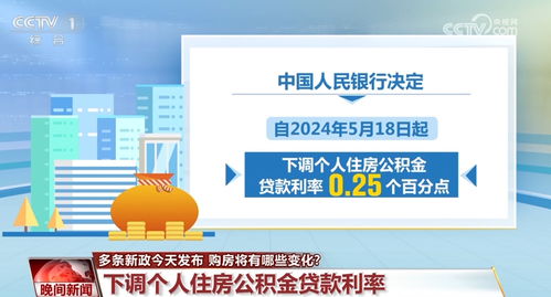 海南购房政策，深入了解与实用指南