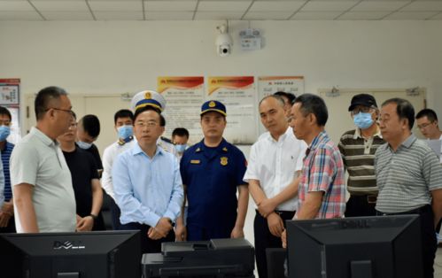 浦江惊魂，特大交通事故背后的安全警示与反思