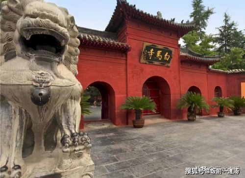 洛阳奇人王跃峰，古都中的现代传奇