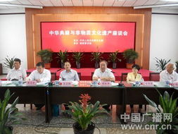 传承与保护，非物质文化遗产法的现代使命