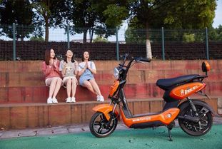 武汉二手电动车，购买指南与维护秘籍