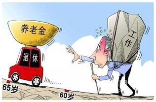 为未来铺路，个人缴纳养老保险的明智选择