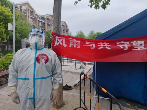 河北省疫情，共克时艰，守护健康家园