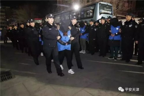 鲜肉陷阱，揭秘与打击诈骗团伙的正义之战