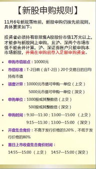 新手指南，申购新股的详细步骤与技巧