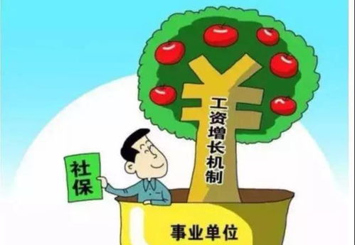 事业单位绩效工资方案，激励与公平的平衡艺术