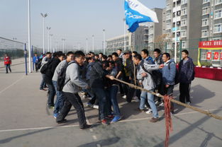 宋庄疫情，社区团结的力量与挑战