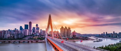 探索厦门地税局，税收的桥梁，城市的脉搏