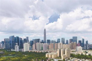 探索厦门地税局，税收的桥梁，城市的脉搏