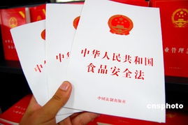 食品安全法实施细则，守护餐桌安全的法律盾牌