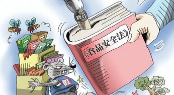 食品安全法实施细则，守护餐桌安全的法律盾牌