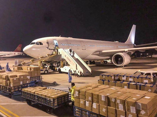 中国疫情动态，31省新增12例病例分析与防控策略