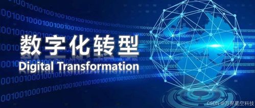 山东地税网，数字化转型的典范与挑战