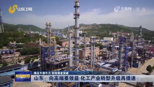 山东地税网，数字化转型的典范与挑战