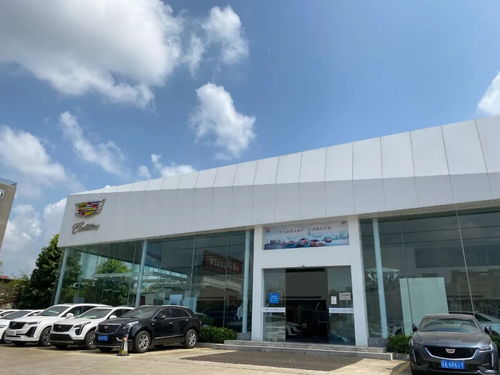 兰州战疫新篇章，最新疫情动态与防控措施解析