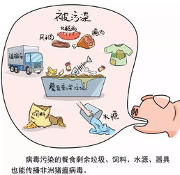 保定市民的担忧与真相，辟谣与科学防疫