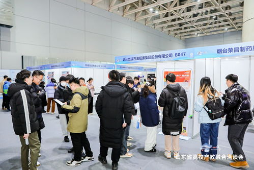 合肥市人事局，人才引进与城市发展的桥梁