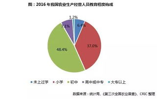 深入了解国家房地产政策，影响、趋势与应对策略