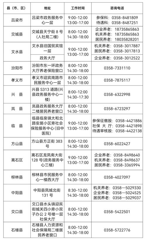 职工养老保险缴费比例，全面解析与实用指南