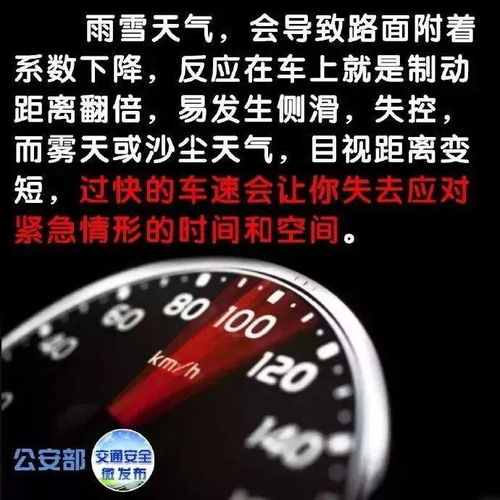 红绿灯下的智者，掌握交通标志，安全出行每一天