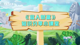 中国人寿美满一生，为您的幸福生活保驾护航