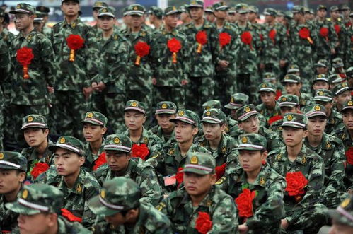 大专生入伍考军校，实现军旅梦想的阶梯