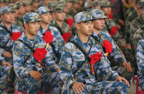 大专生入伍考军校，实现军旅梦想的阶梯