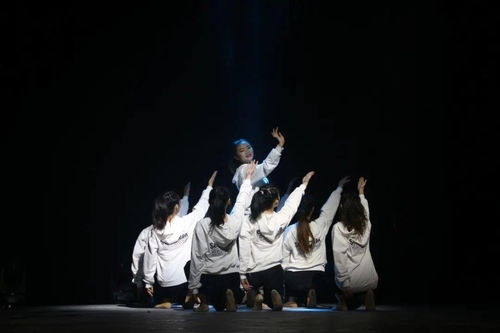 舞动人生，揭秘舞蹈老师月收入的秘密