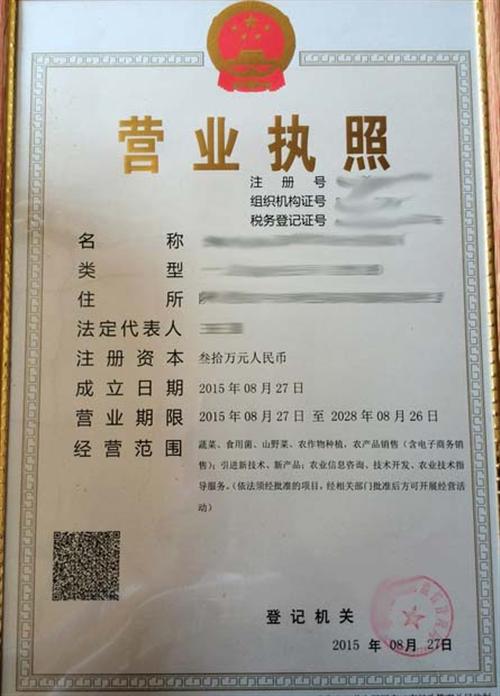 上海营业执照代办，一站式服务，助力企业快速起航