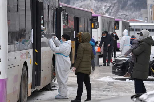 河北疫情新动态，新增8例无症状感染者深度解析