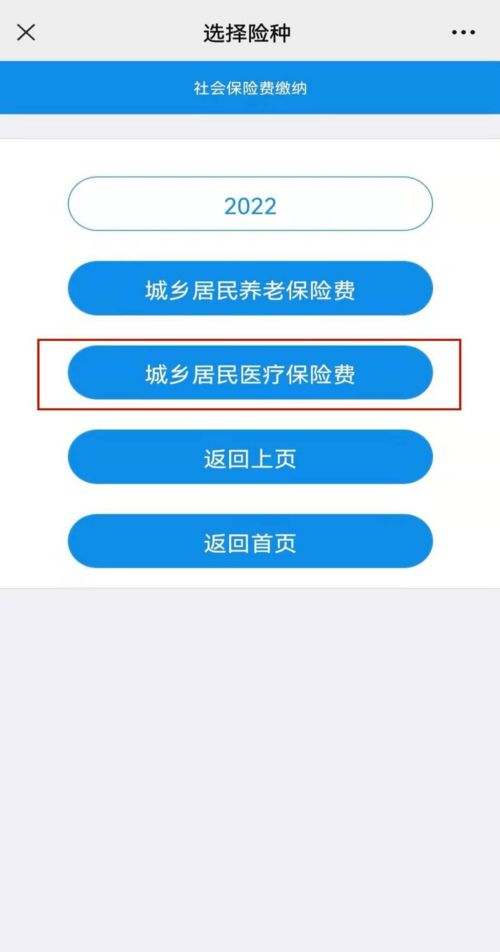 网站备案费用全解析，成本、流程与注意事项