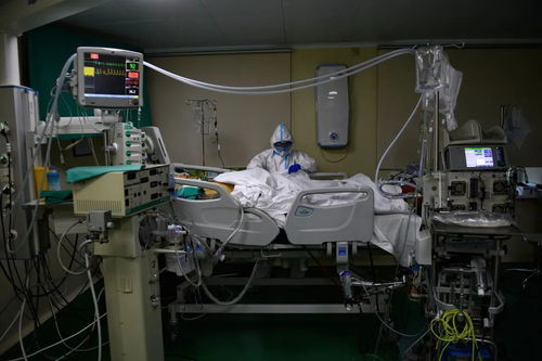 黑龙江疫情新动态，新增6例本土病例的警示与应对策略