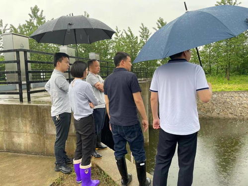 房屋质量检测，如何确保您的家安全无忧