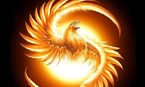 重组概念股票，股市中的凤凰涅槃