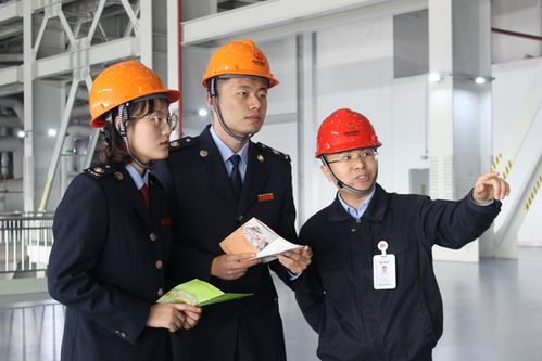 深入了解国家税务总局法规库，您的税务指南针