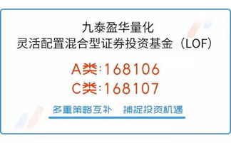 开发式基金，投资的灵活性与机遇