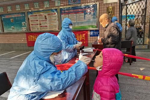 石家庄疫情最新动态，防控措施、病例数据与市民生活影响