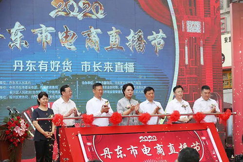 丹东市人民政府，城市发展的舵手与人民福祉的守护者