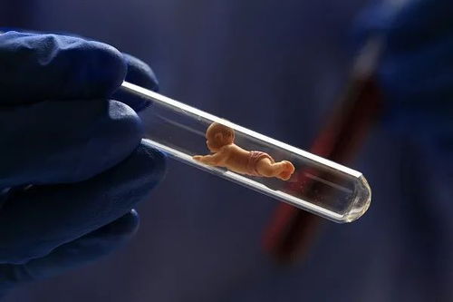 河北亲子鉴定，揭开真相的钥匙