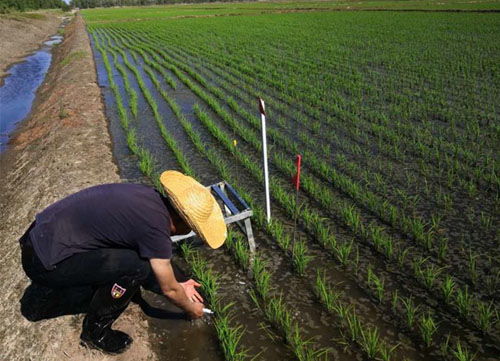 让农业插上科技的翅膀，农业技术推广法的魔力