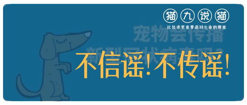 北京突发疫情，应对策略与日常防护指南