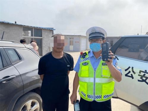 威海电子警察违章查询，智能交通的守护者